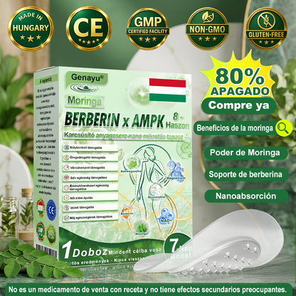 Genayu® Moringa × Berberin × AMPK – 8 előny Karcsúsító & Metabolikus Nano Mikrotűs Tapasz 🇭🇺 (Naponta csak egyszer, látható változások már 7 nap alatt) ✅ Elhízás, megereszkedett bőr, cukorbetegség, alvási apnoe, ízületi problémák és még sok más esetén
