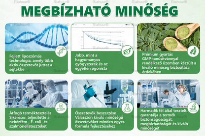 Genayu® Moringa × Berberin × AMPK – 8 előny Karcsúsító & Metabolikus Nano Mikrotűs Tapasz 🇭🇺 (Naponta csak egyszer, látható változások már 7 nap alatt) ✅ Elhízás, megereszkedett bőr, cukorbetegség, alvási apnoe, ízületi problémák és még sok más esetén